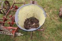 3 PTH International 2 Row Corn Planter