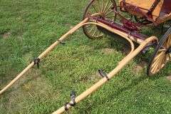 4-Wheel Horse Drawn Buggy