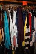 Jackets, Scarves, Shirts, Blouses, Dresses, Sweaters, Vest, and Misc. Clothing