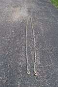 20 Ft Chain with Hooks on Both Ends