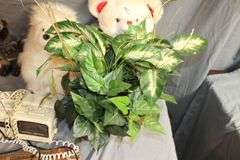 Sears Typewriter, Bear Stuffed Animals, Cat Figurine, Artificial Flowers and Flower Pot, Febreze Air Freshener, and Misc.