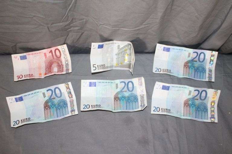 (4) 20 Euro Bills, (1) 10 Euro Bill, and (1) 5 Euro Bill