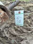 Cole 1 row 3 pt. hitch corn & vegetable planter, row:6