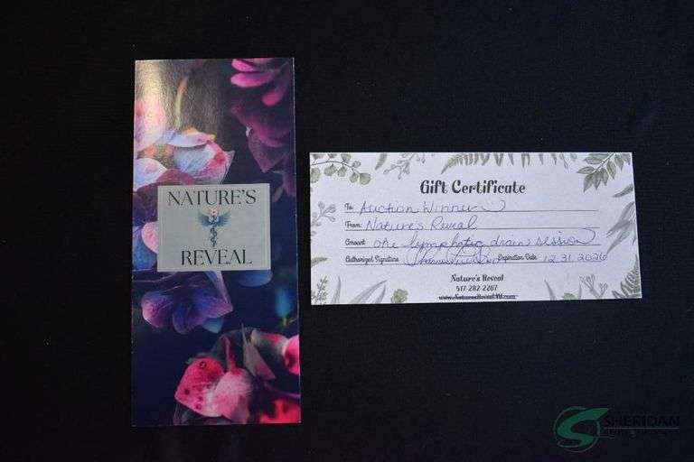 Natures Reveal Certificate for a Lymphatic Drain Session image