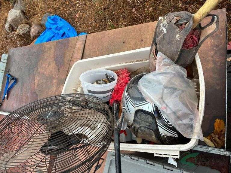 Tote and contents image