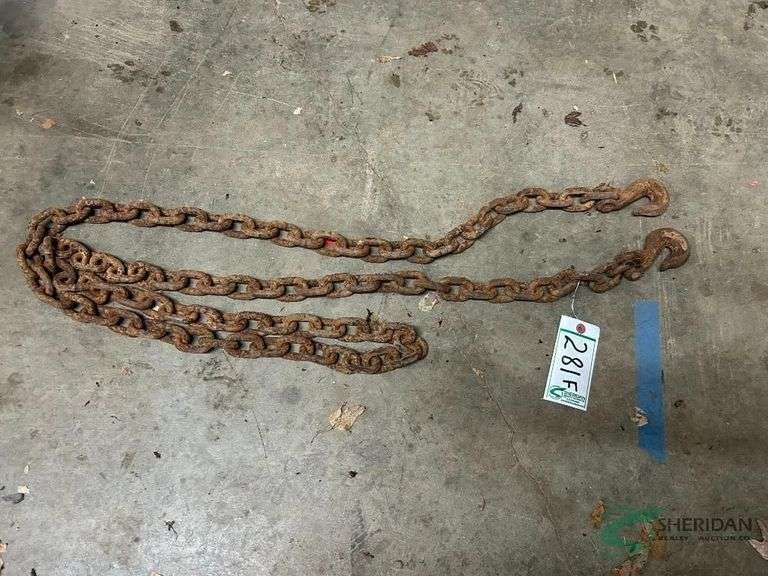 10ft log chain with 2 hooks image