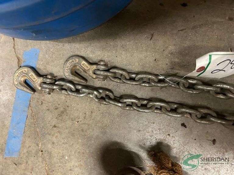 20ft log chain 2 hooks image
