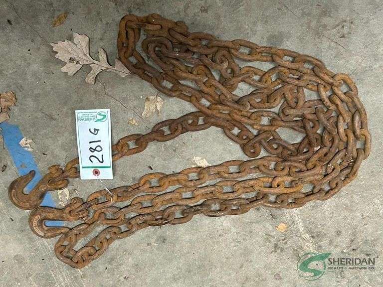 14ft log chain with 2 hooks image