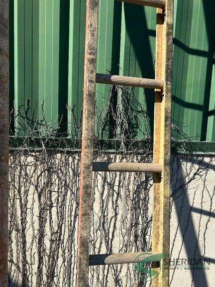 16ft Single section of ladder image