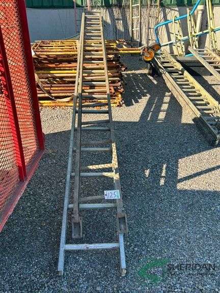 36ft Extension ladder image