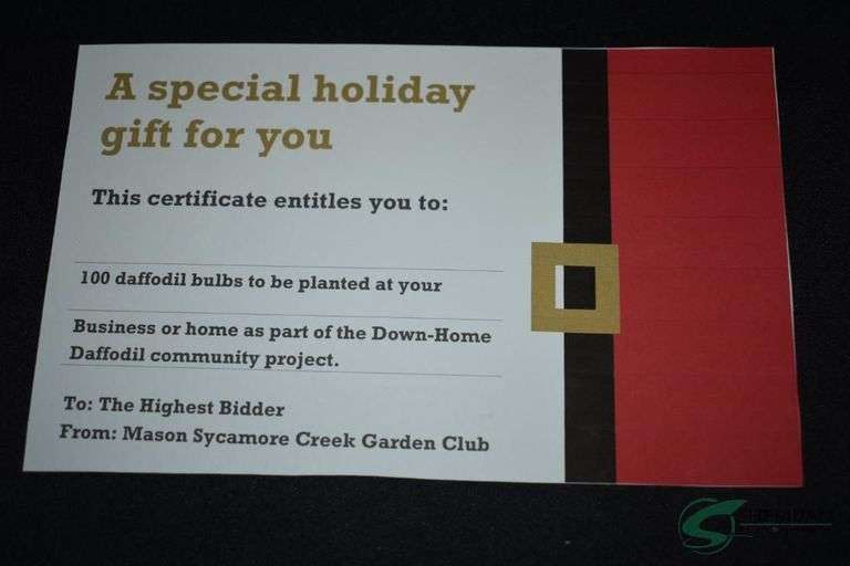 100 planted Daffodils by the Mason Sycamore Creek Garden Club image