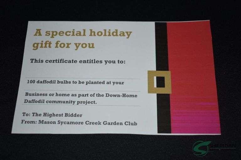 100 planted Daffodils by the Mason Sycamore Creek Garden Club image