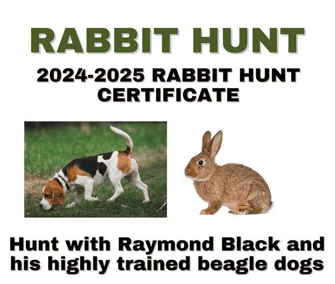 Rabbit Hunt Certificate image