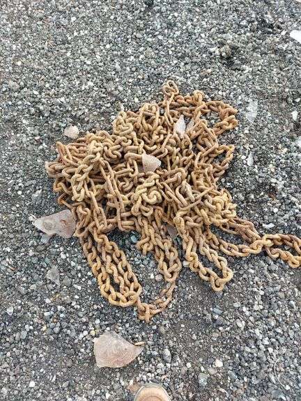 (2) Tire Chains image