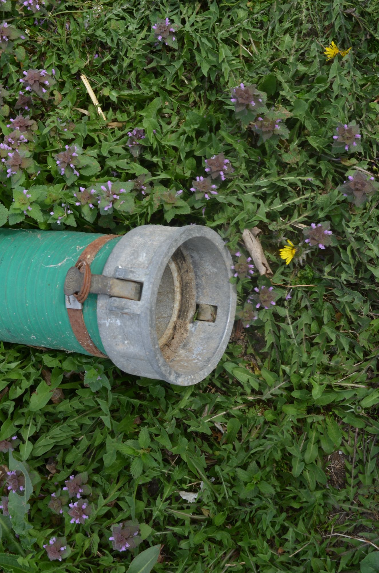 Lot image 9