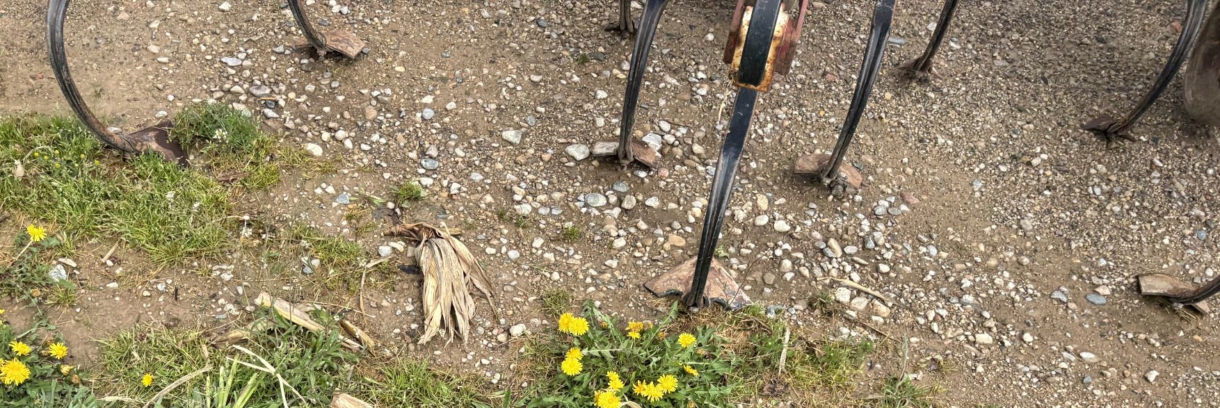 Lot image 5