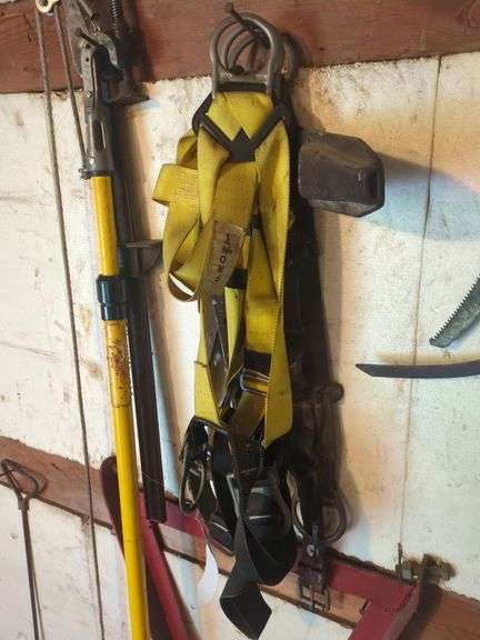 Safety Harness and Pruning Tool