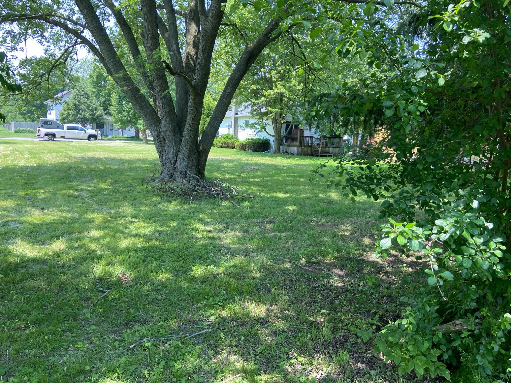 Lot image 4