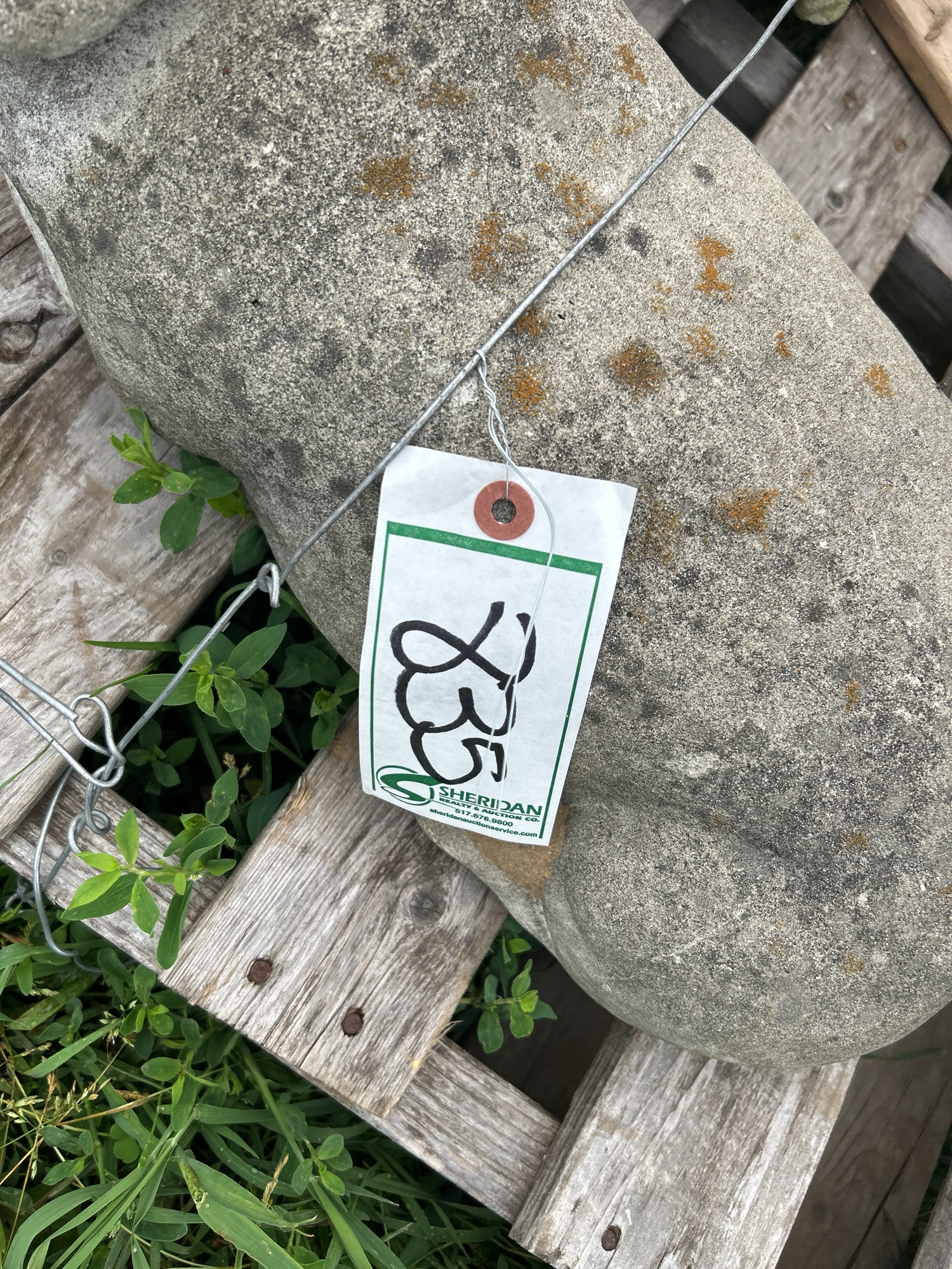 Lot image 7