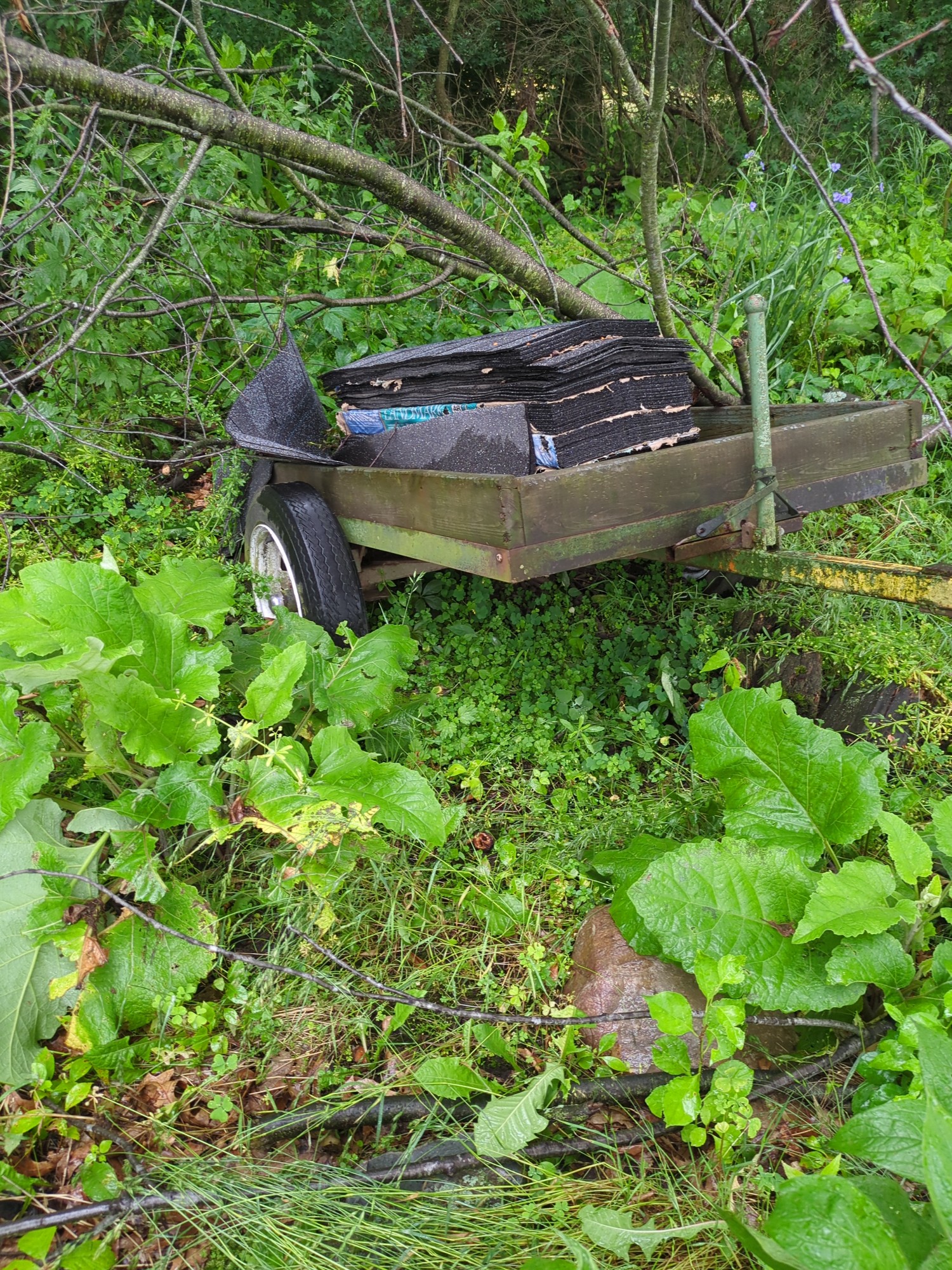 Lot image 5