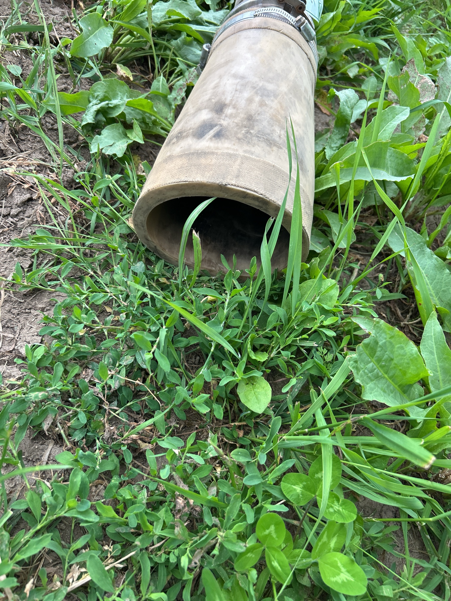 Lot image 3