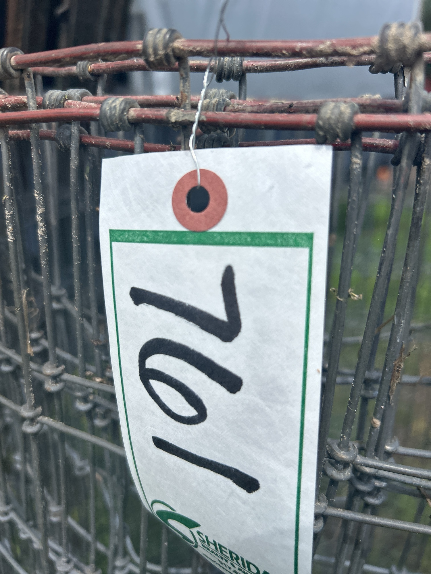 Lot image 3