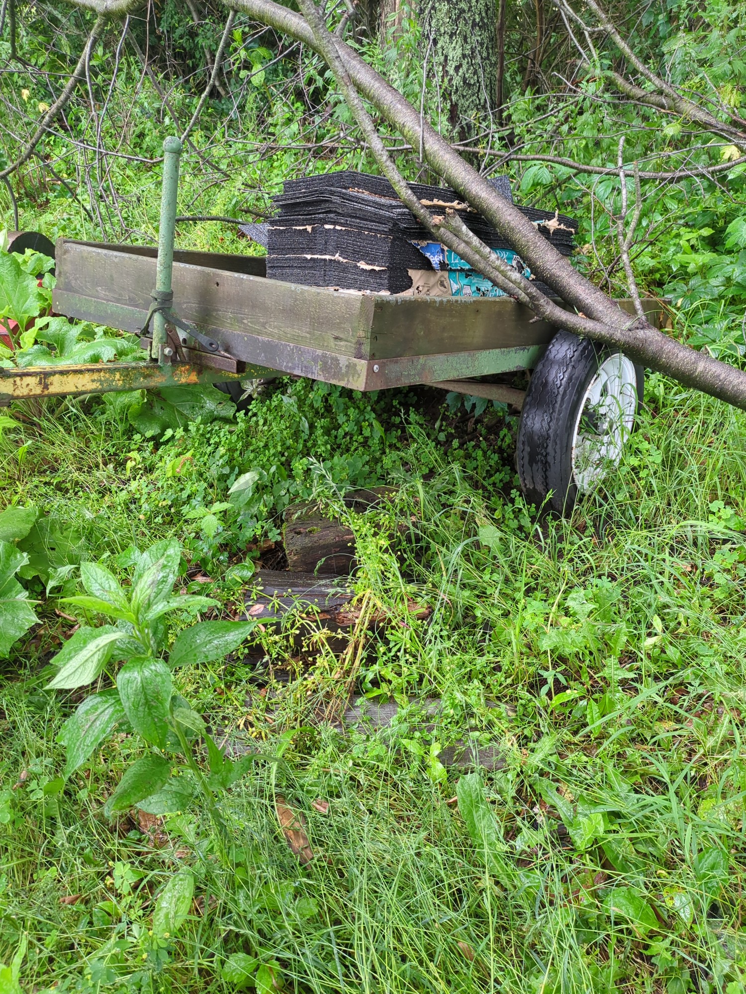 Lot image 4