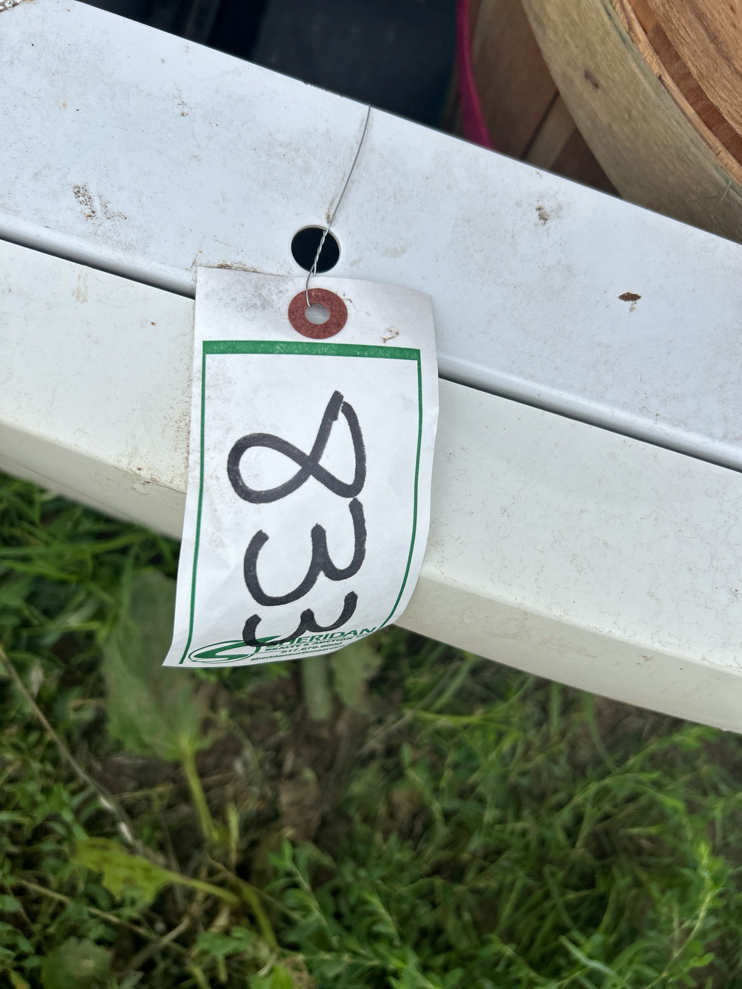 Lot image 5
