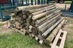 (64) treated 8' fence post, corner & line, row:4
