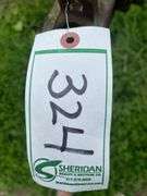John Deere disc, row:3
