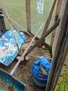 Wooden bench and contents of shed/greenhouse