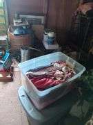Contents of left half of attic, does not include trains in and on glass case