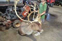 Caribou Mount