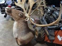 Caribou Mount