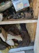 Contents of shelves