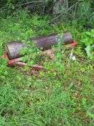 Lawn Roller