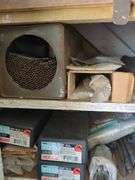 Contents of shelves