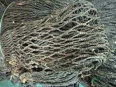 Large net