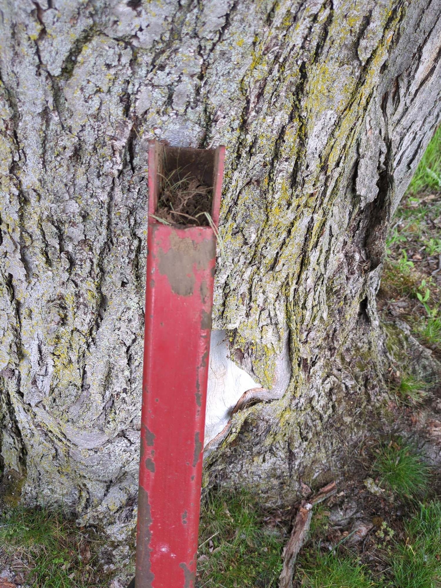 Lot image 6