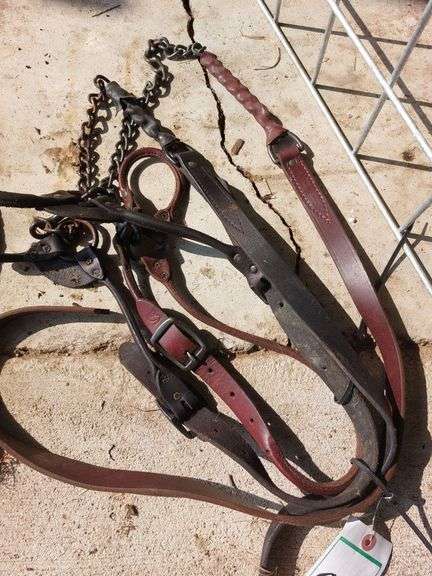 Leather Show Halters