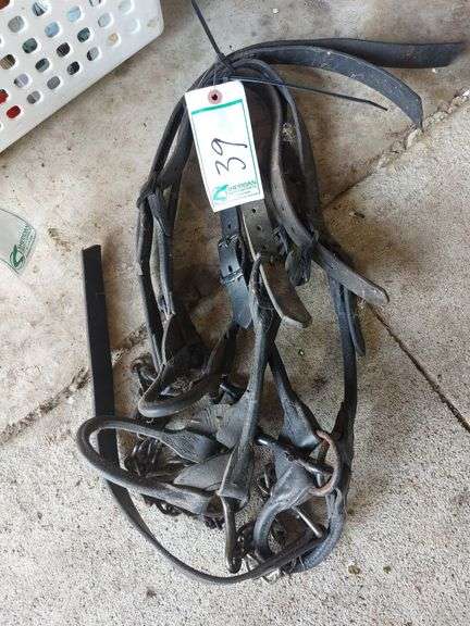 Leather Show Halters
