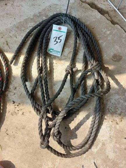 Poly Rope Halters