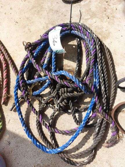 Poly Rope Halters