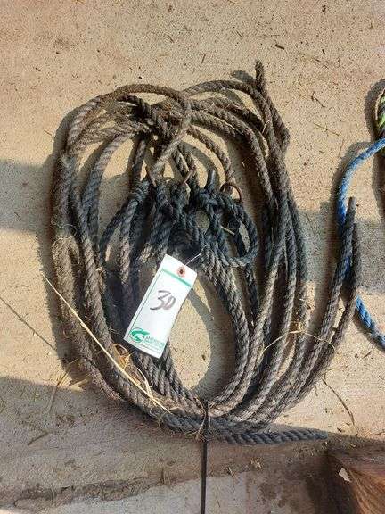 Poly Rope Halters