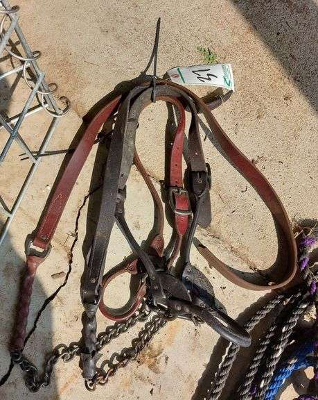 Leather Show Halters