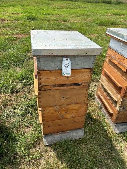 Beehive, row:10 image