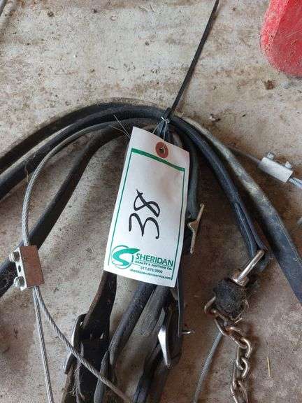 Leather Show Halters