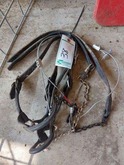 Leather Show Halters