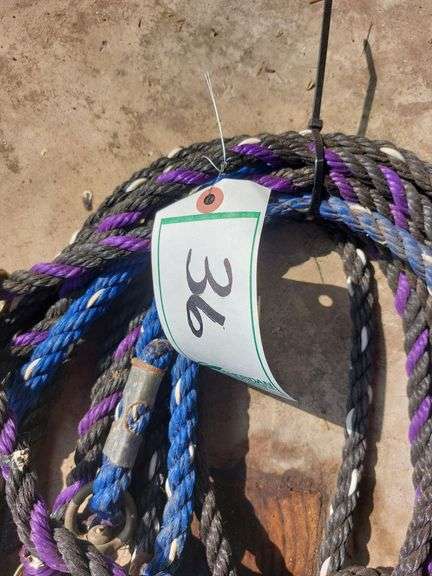 Poly Rope Halters