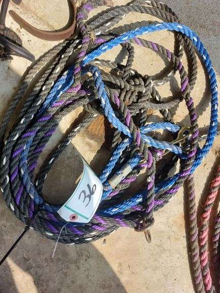 Poly Rope Halters